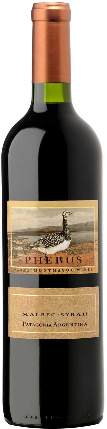 Phebus Malbec Syrah 2022 - Patagonia