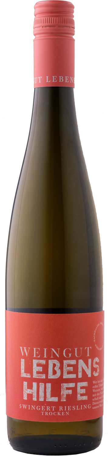 Weingut Lebenshilfe 5 Wingert Riesling 2024 - Bio