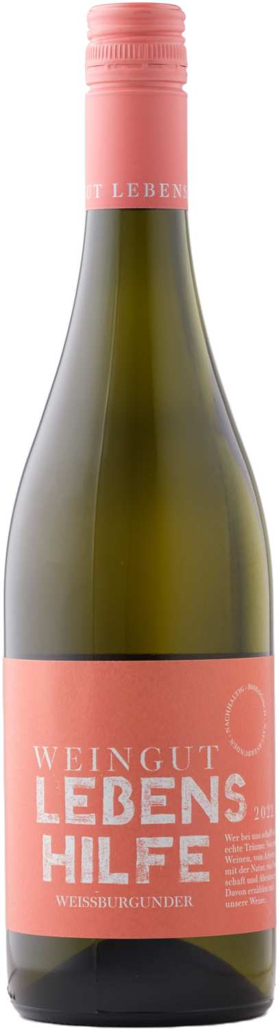 Weingut Lebenshilfe Weissburgunder 2024 - Bio