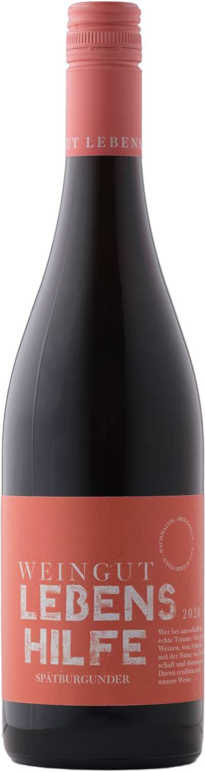 Weingut Lebenshilfe Spatburgunder 2022 - Bio