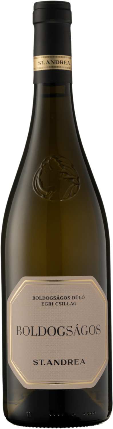 St. Andrea Boldogsagos Egri Csillag Grand Superior 2023