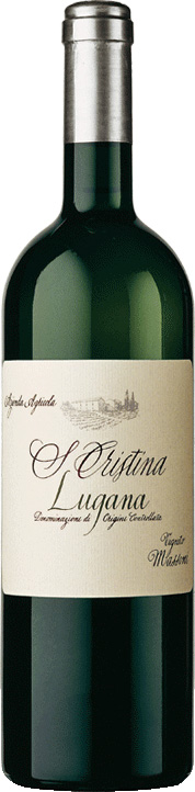 Santa Cristina Lugana Trebbiano 2024 - Vigneto Massoni