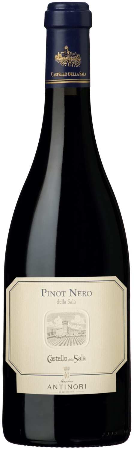 Castello della Sala Pinot Nero 2022