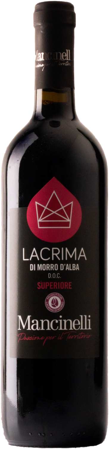 Stefano Mancinelli Lacrima Morro d'Alba Superiore 2020