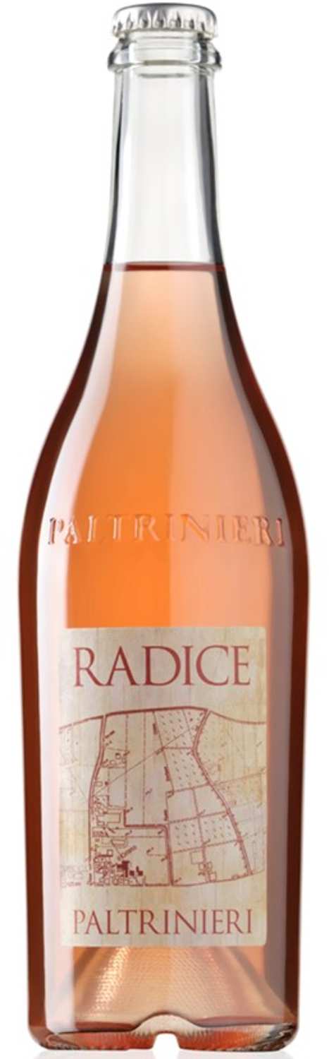 Cantina Paltrinieri Radice Lambrusco 2020