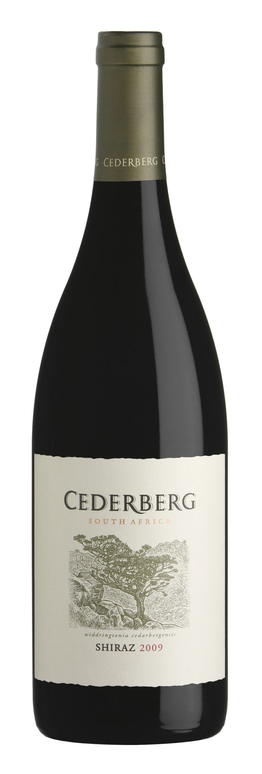 Cederberg Shiraz 2021