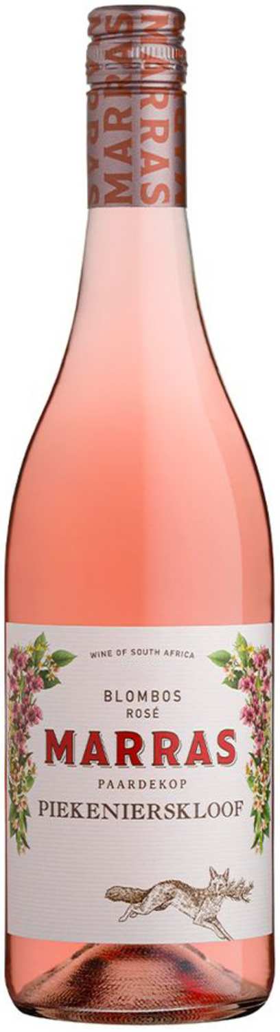 Marras Blombos Rose 2024
